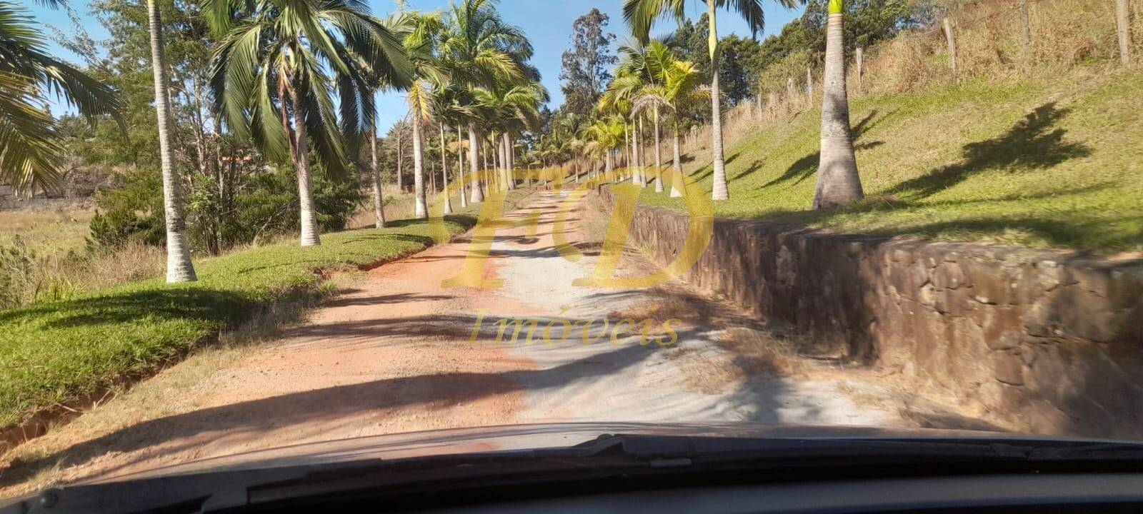 Fazenda à venda com 5 quartos - Foto 3