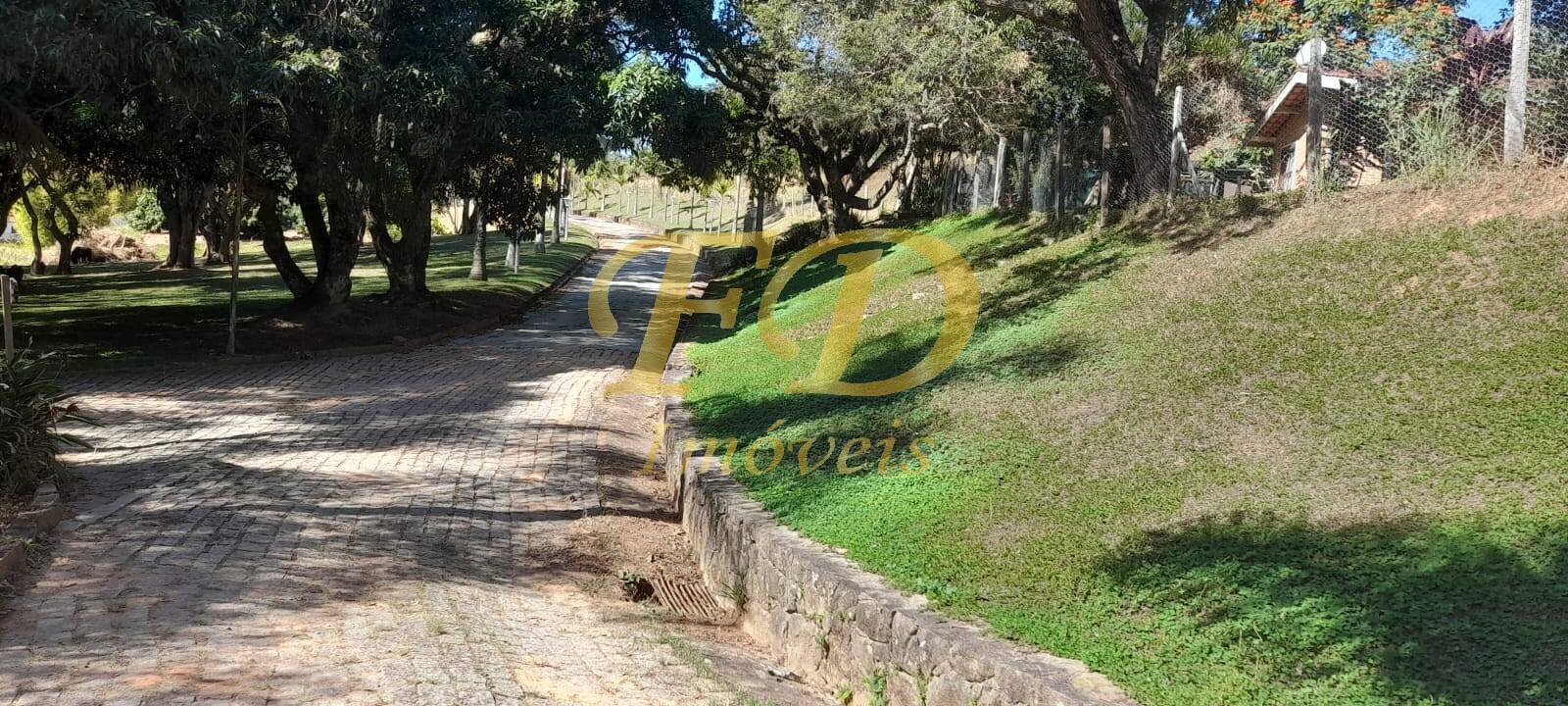 Fazenda à venda com 5 quartos - Foto 6