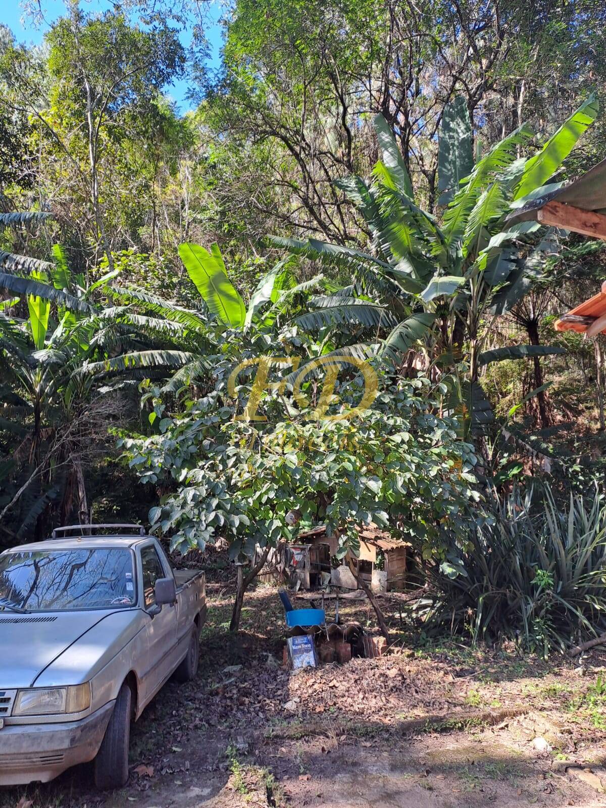 Fazenda à venda com 4 quartos, 4000m² - Foto 2