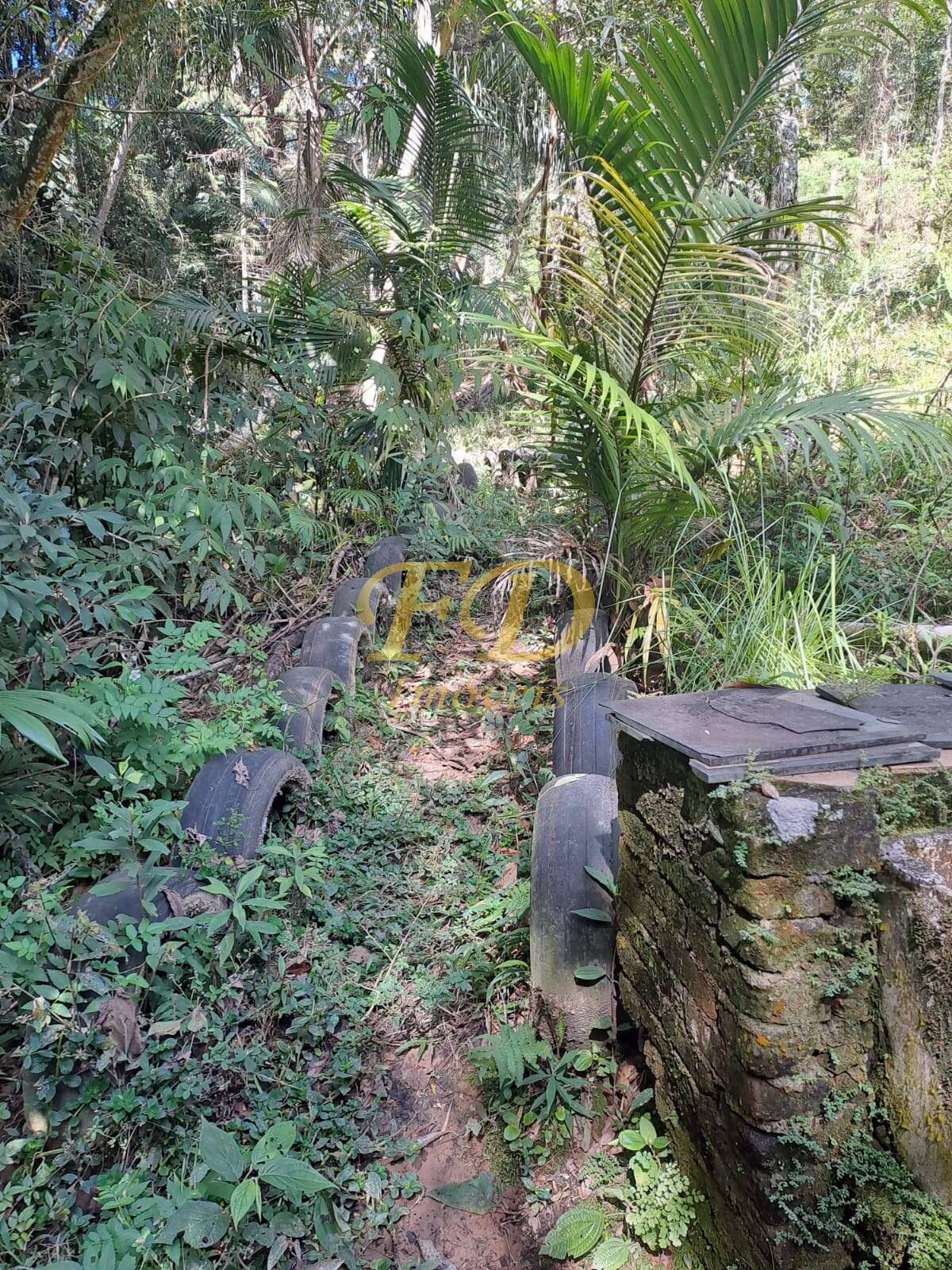 Fazenda à venda com 4 quartos, 4000m² - Foto 10