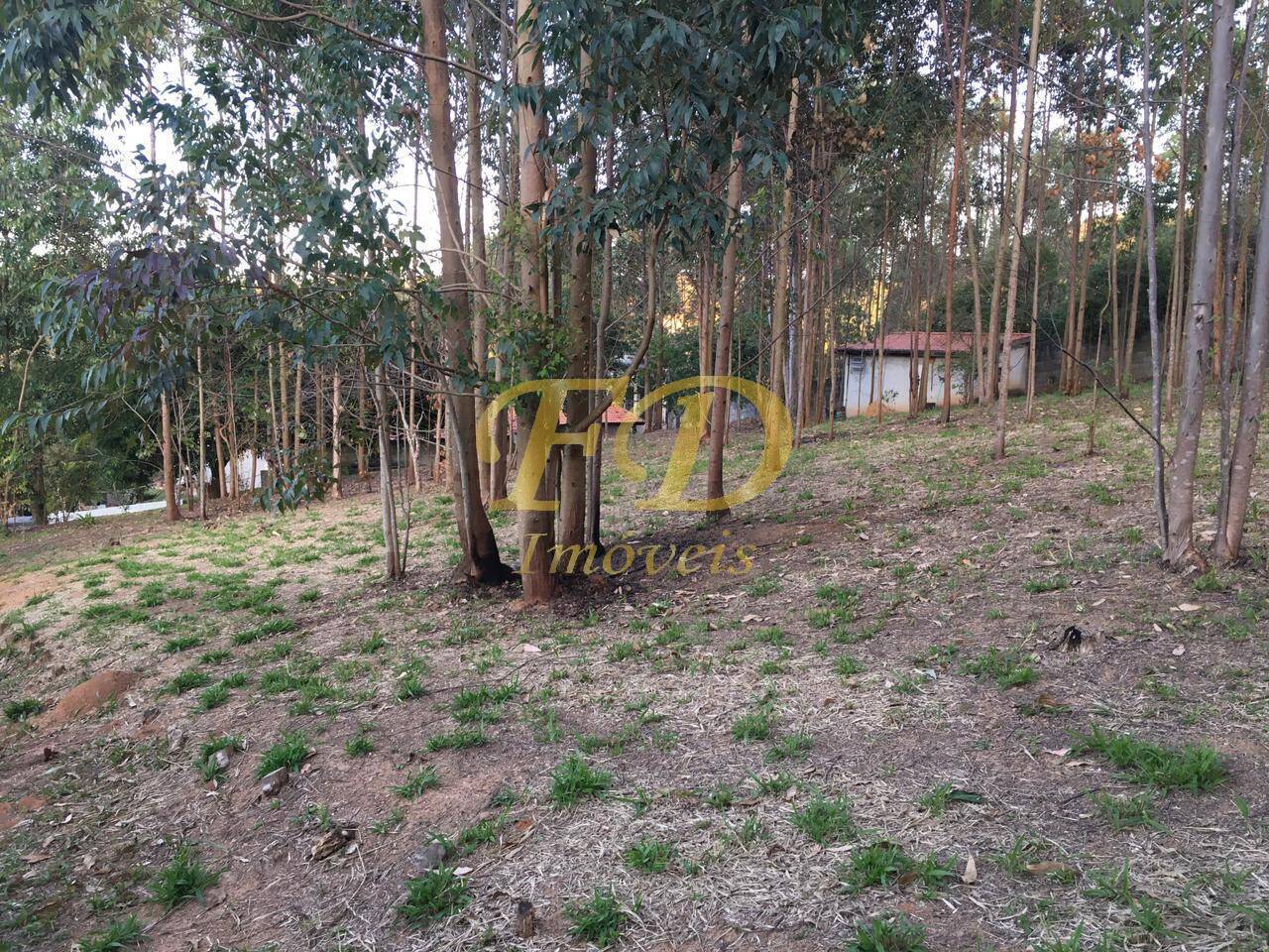 Fazenda à venda com 3 quartos, 400m² - Foto 24