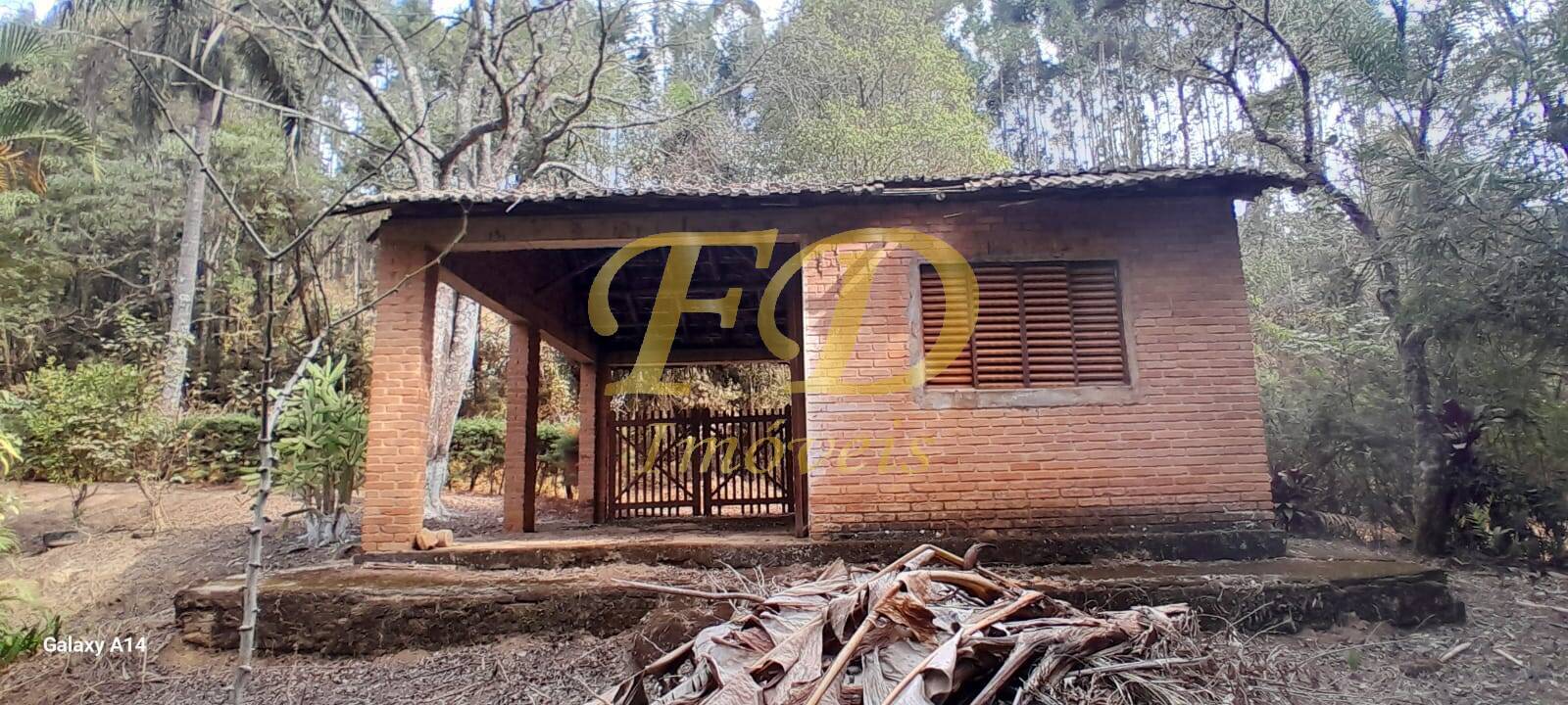 Fazenda à venda com 4 quartos, 4000m² - Foto 25