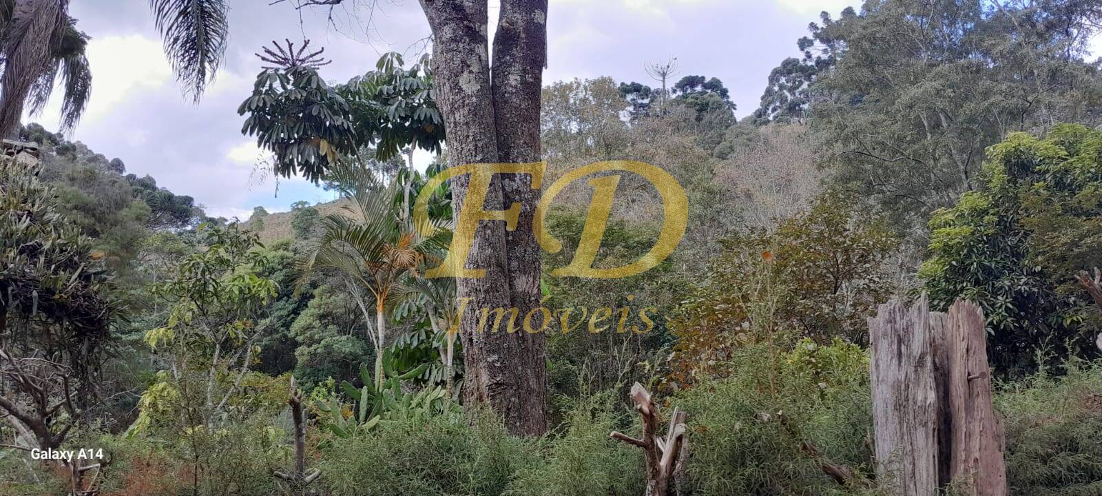 Fazenda à venda com 4 quartos, 4000m² - Foto 26