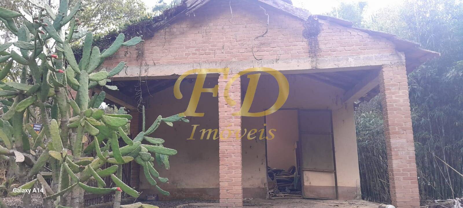 Fazenda à venda com 4 quartos, 4000m² - Foto 27