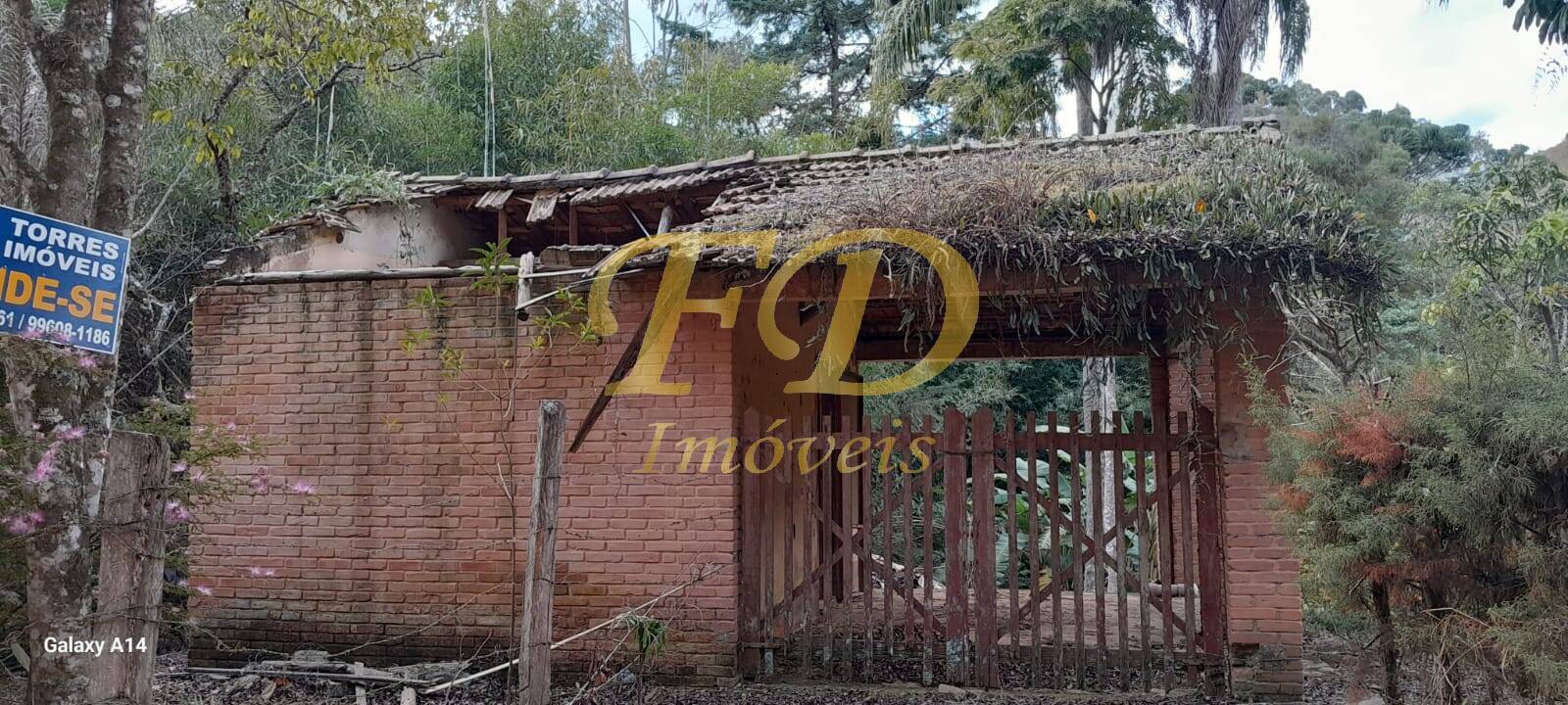 Fazenda à venda com 4 quartos, 4000m² - Foto 28