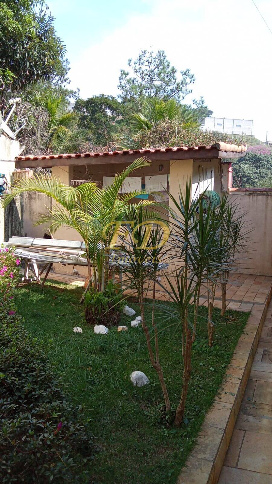 Fazenda à venda com 3 quartos, 1000m² - Foto 6