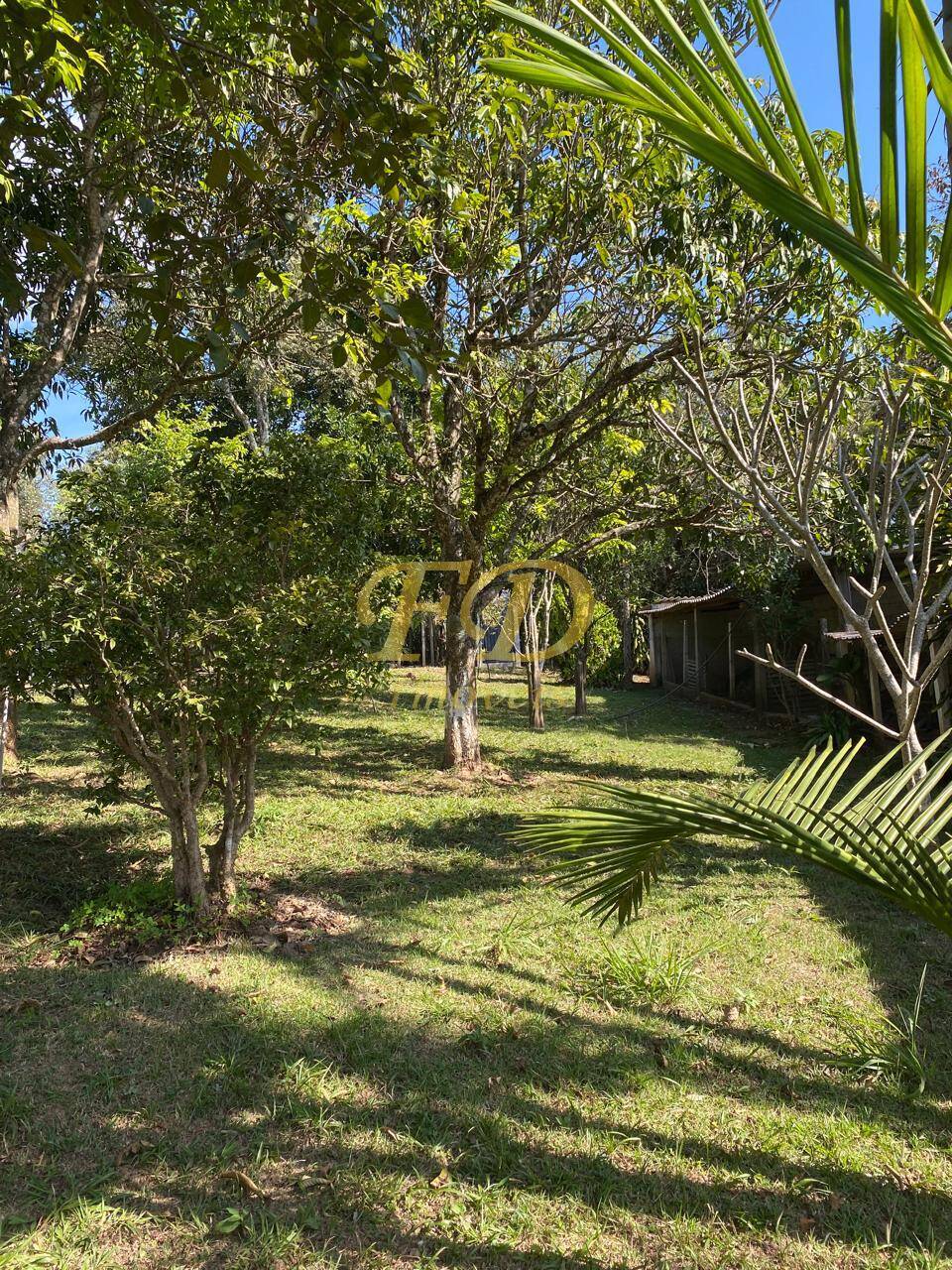 Fazenda à venda com 1 quarto, 100m² - Foto 19