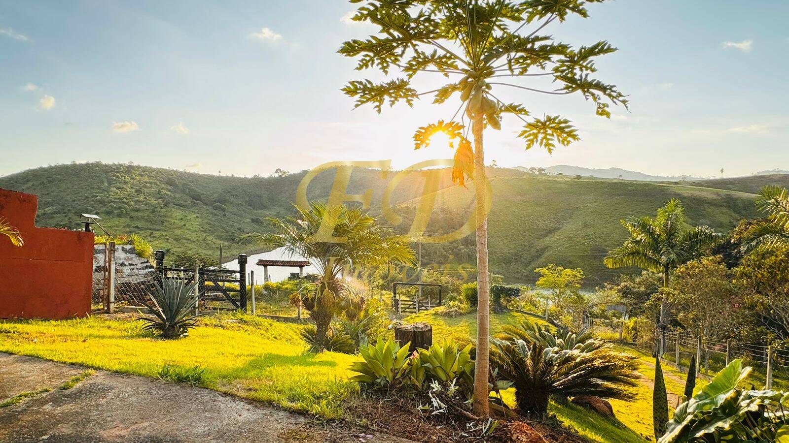 Fazenda à venda com 3 quartos, 1200m² - Foto 13