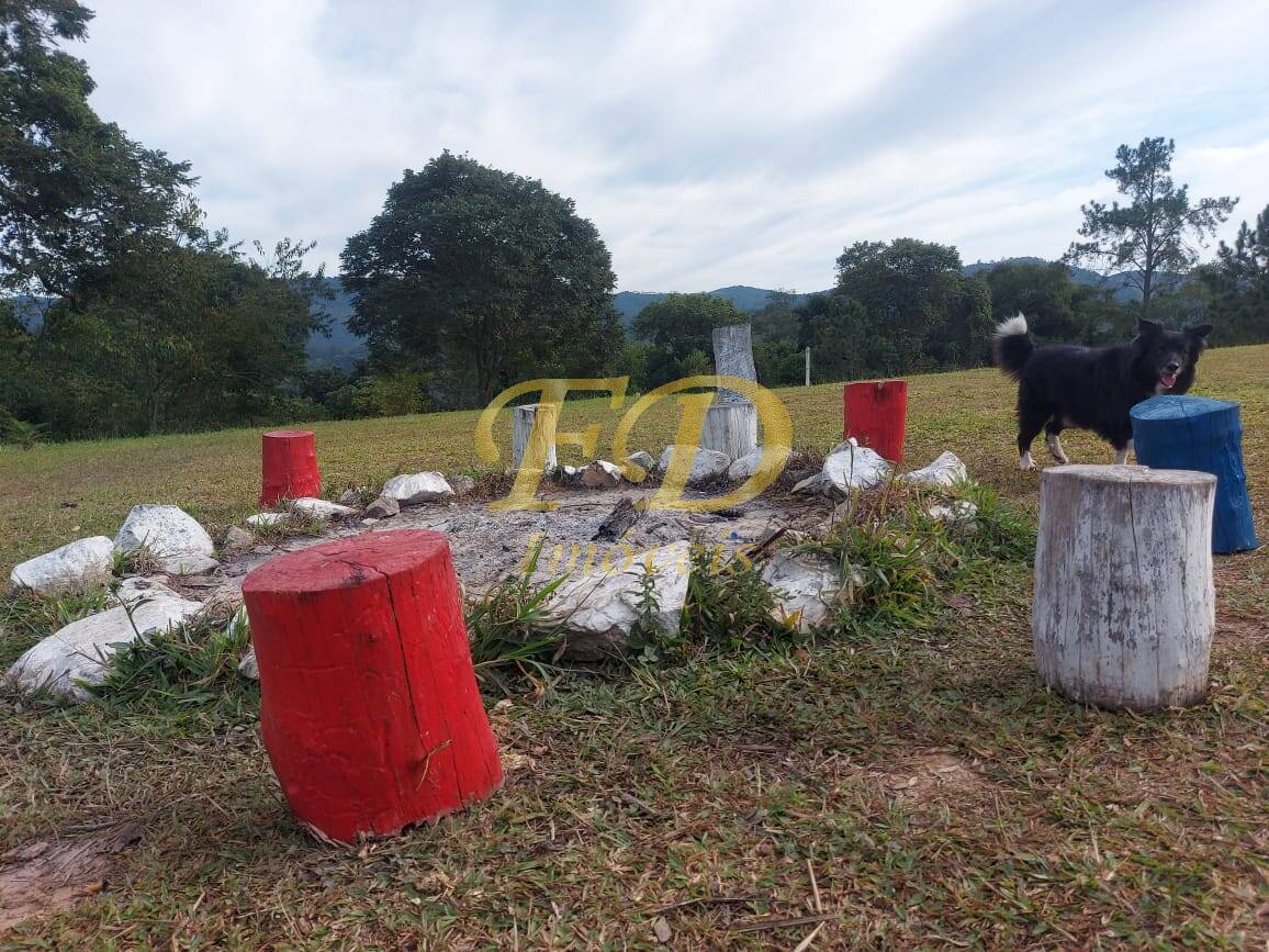 Fazenda à venda com 4 quartos, 40000m² - Foto 14