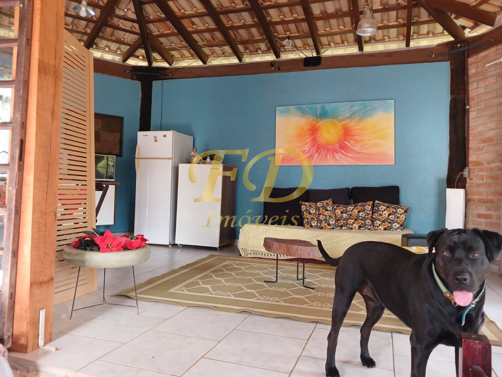 Fazenda à venda com 4 quartos, 120m² - Foto 61