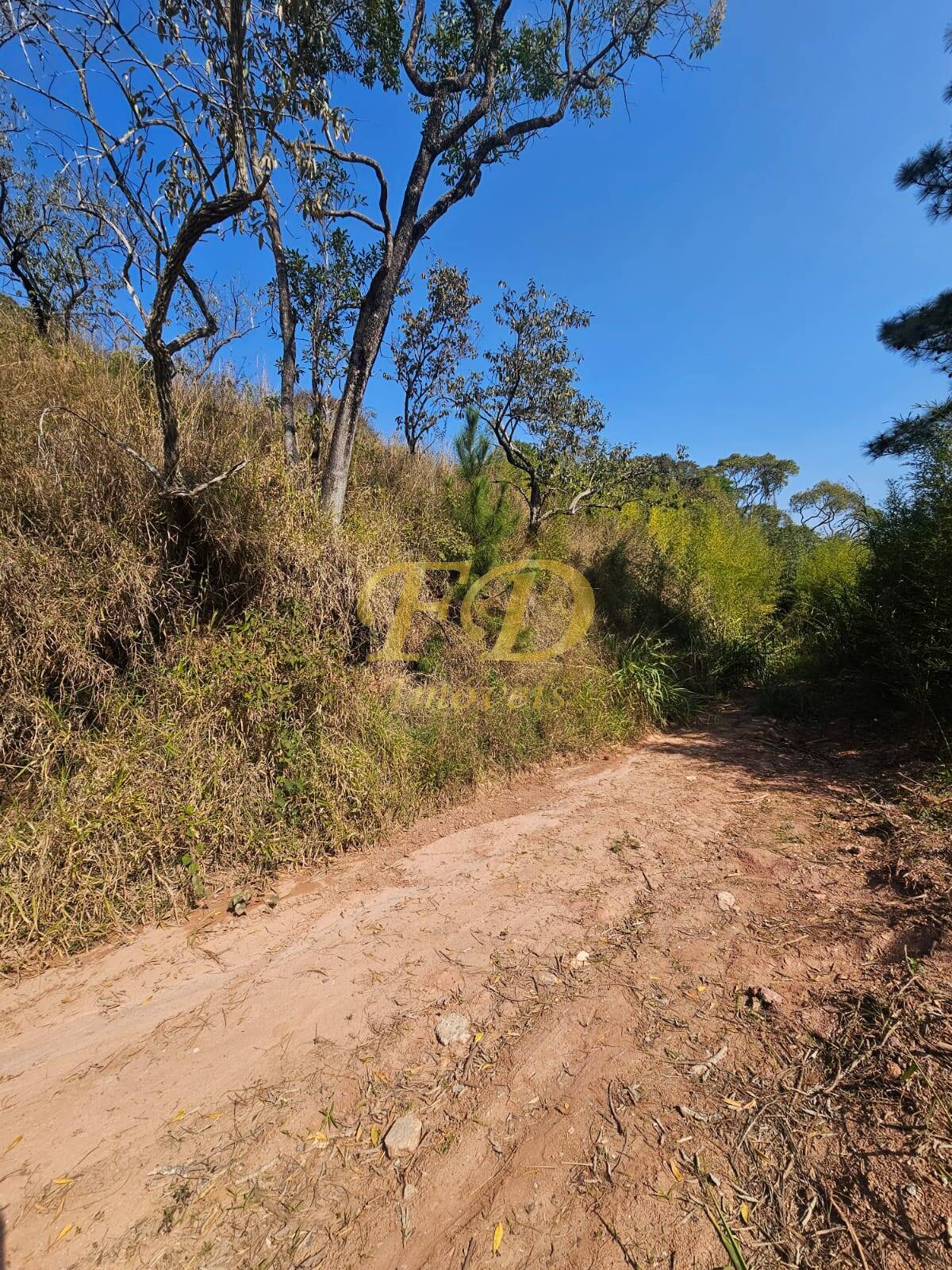 Terreno à venda - Foto 1