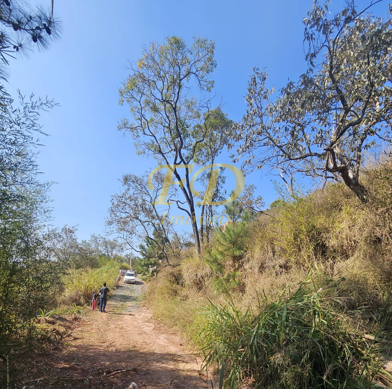 Terreno à venda - Foto 2