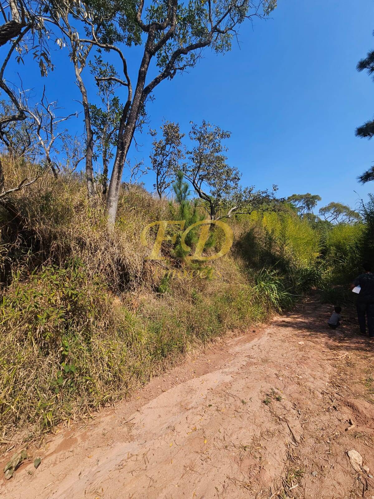 Terreno à venda - Foto 3