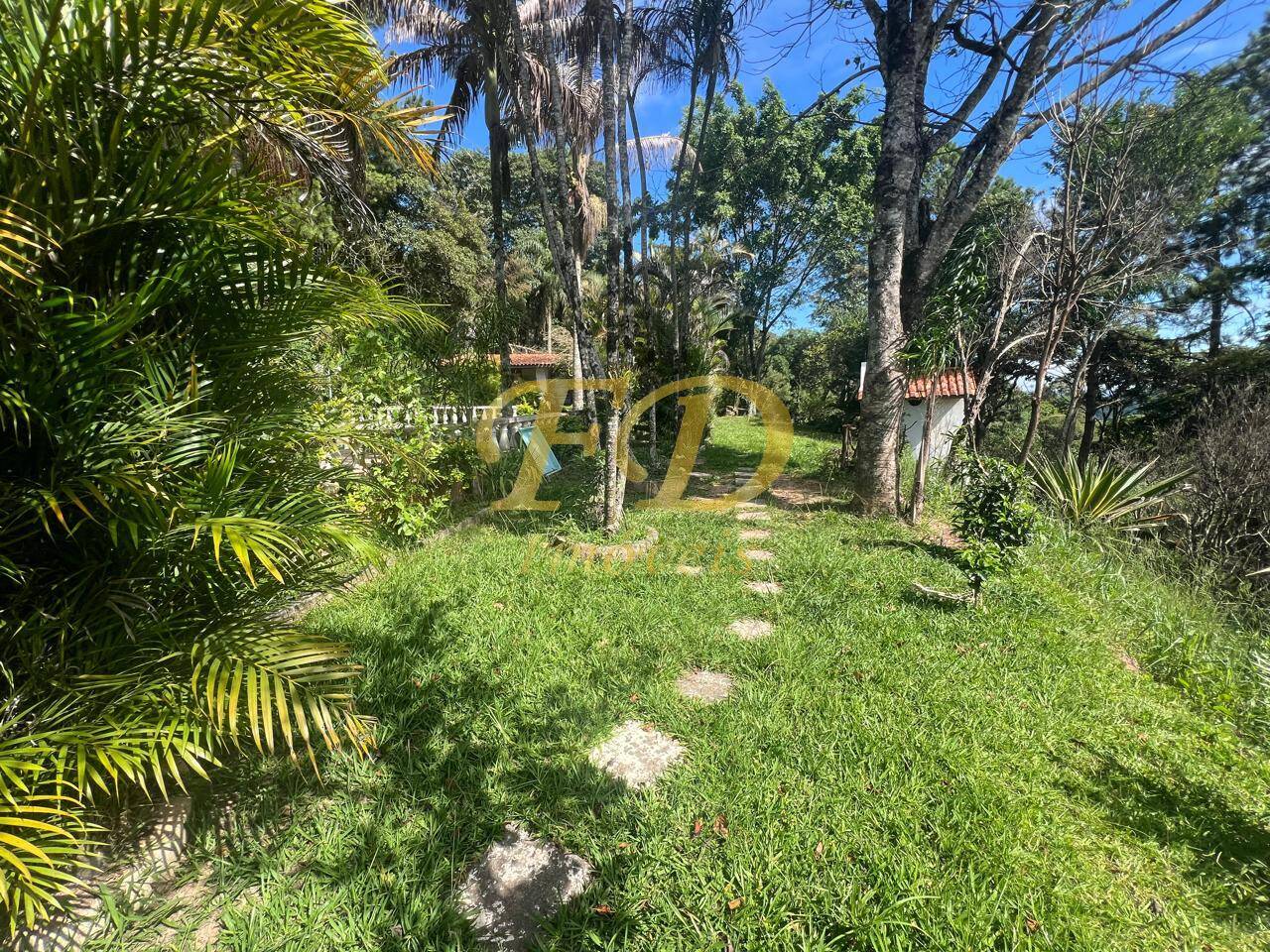 Fazenda à venda com 4 quartos, 6000m² - Foto 23