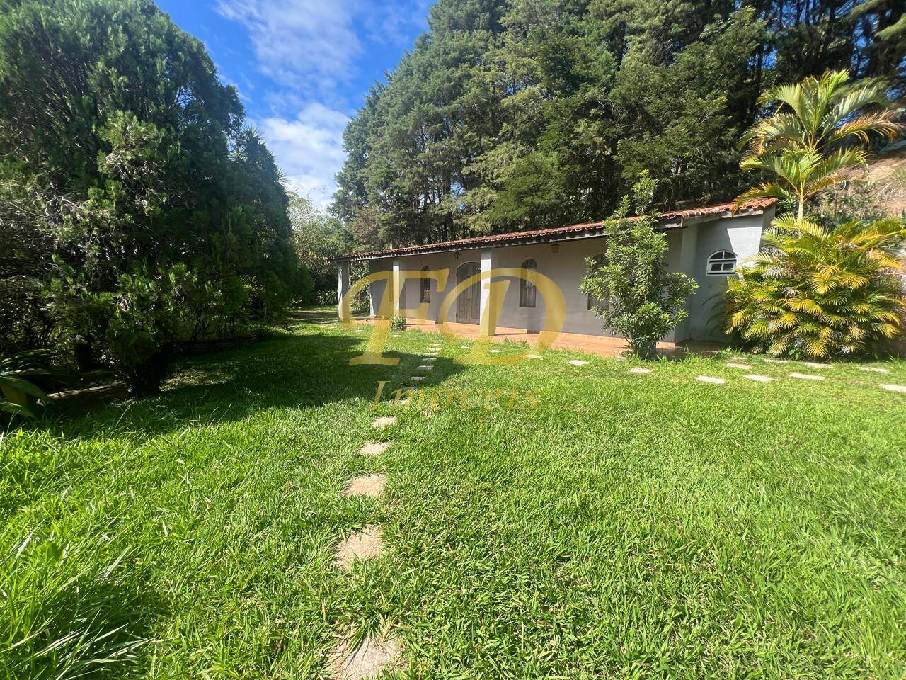 Fazenda à venda com 4 quartos, 6000m² - Foto 25