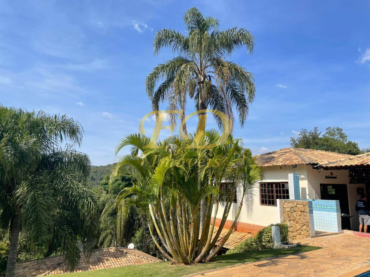 Fazenda à venda com 9 quartos - Foto 1