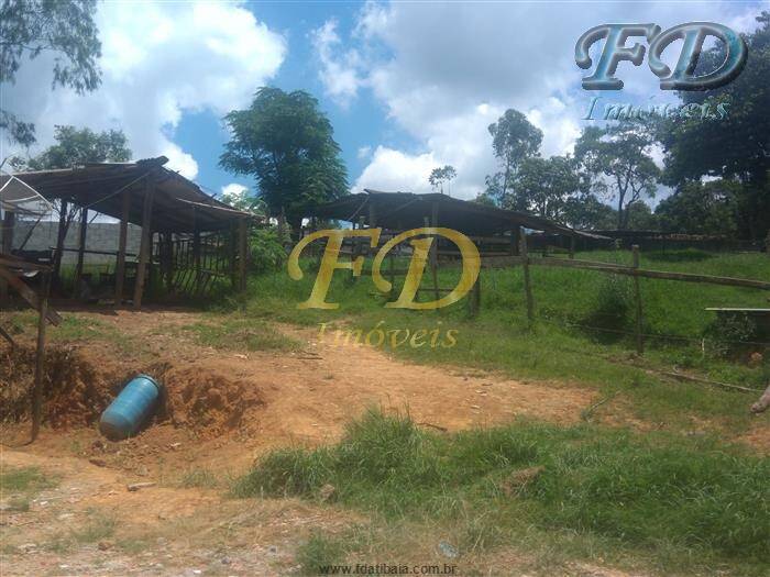 Fazenda à venda com 2 quartos, 5500m² - Foto 3