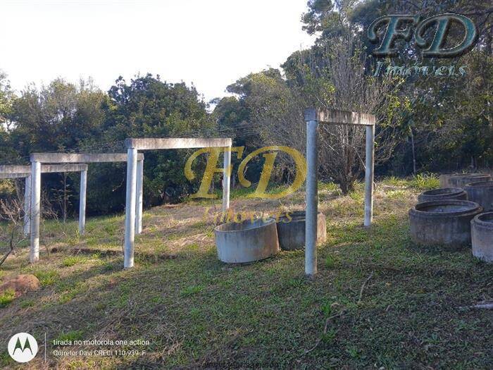 Fazenda à venda com 2 quartos, 900m² - Foto 50