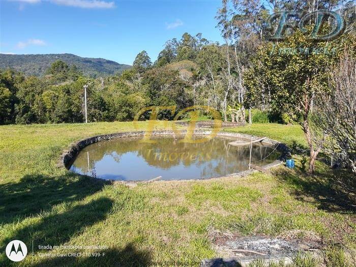 Fazenda à venda com 2 quartos, 900m² - Foto 55