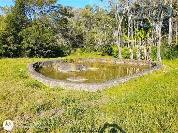 Fazenda à venda com 2 quartos, 900m² - Foto 56