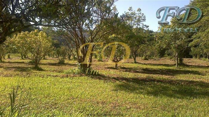 Fazenda à venda com 3 quartos, 210000m² - Foto 5