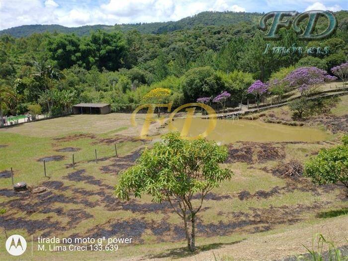 Fazenda à venda com 4 quartos, 500m² - Foto 4