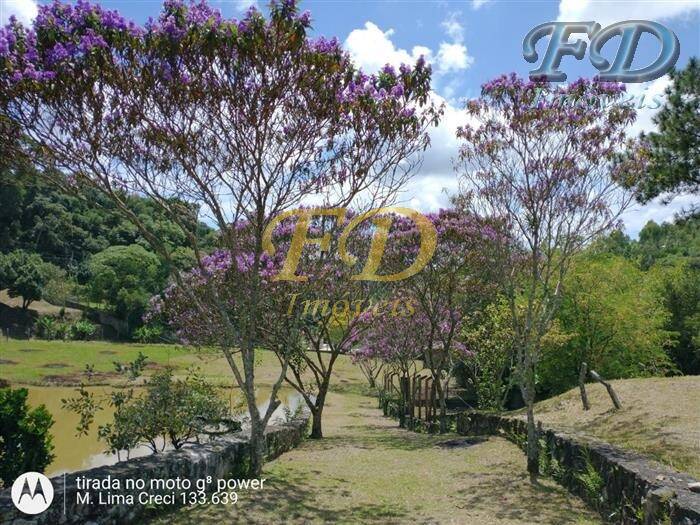 Fazenda à venda com 4 quartos, 500m² - Foto 5