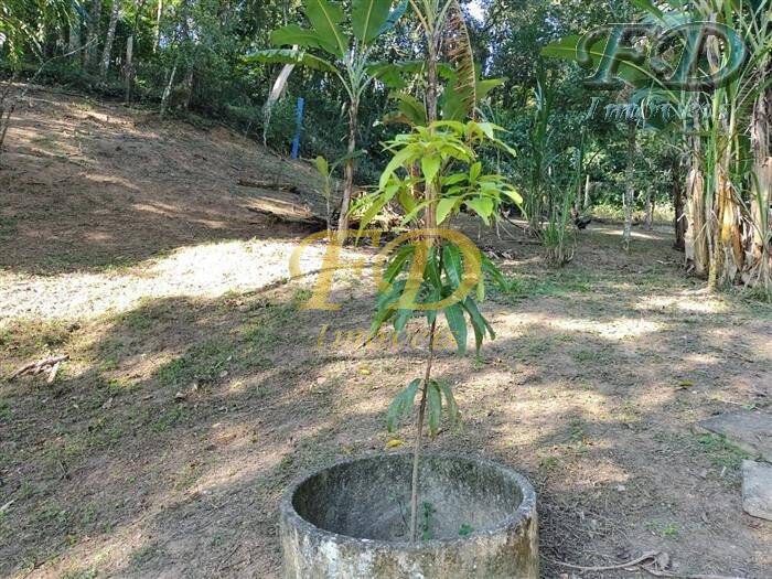 Fazenda à venda com 3 quartos, 300m² - Foto 20