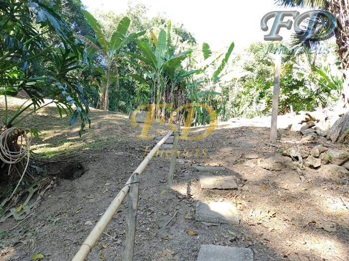 Fazenda à venda com 3 quartos, 300m² - Foto 21