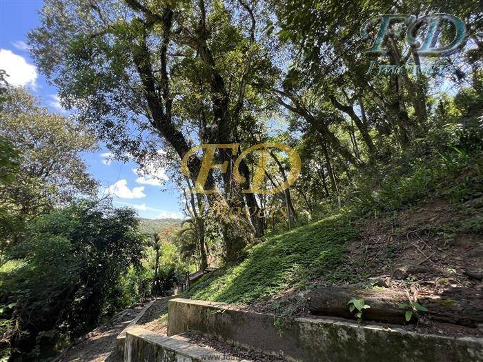 Fazenda à venda com 3 quartos, 300m² - Foto 44