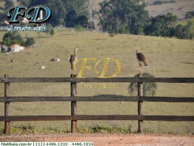 Fazenda à venda com 4 quartos, 135000m² - Foto 4