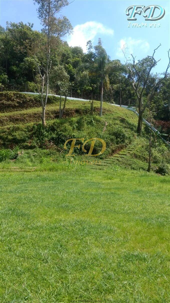 Fazenda à venda com 4 quartos, 800m² - Foto 40