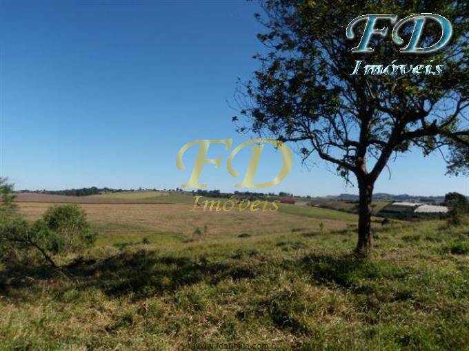 Fazenda à venda com 14 quartos - Foto 3