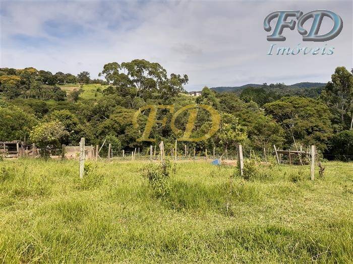 Fazenda à venda com 10 quartos, 1200m² - Foto 14