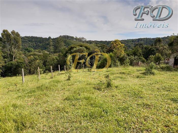 Fazenda à venda com 10 quartos, 1200m² - Foto 15