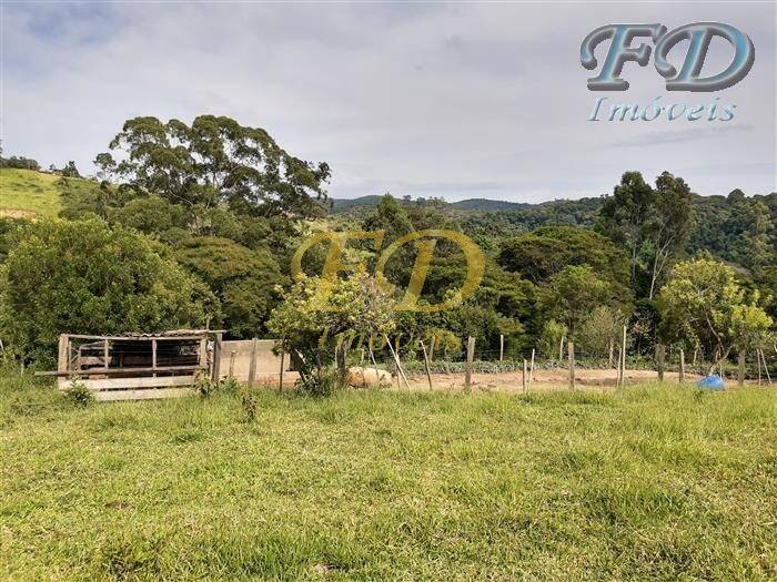 Fazenda à venda com 10 quartos, 1200m² - Foto 16