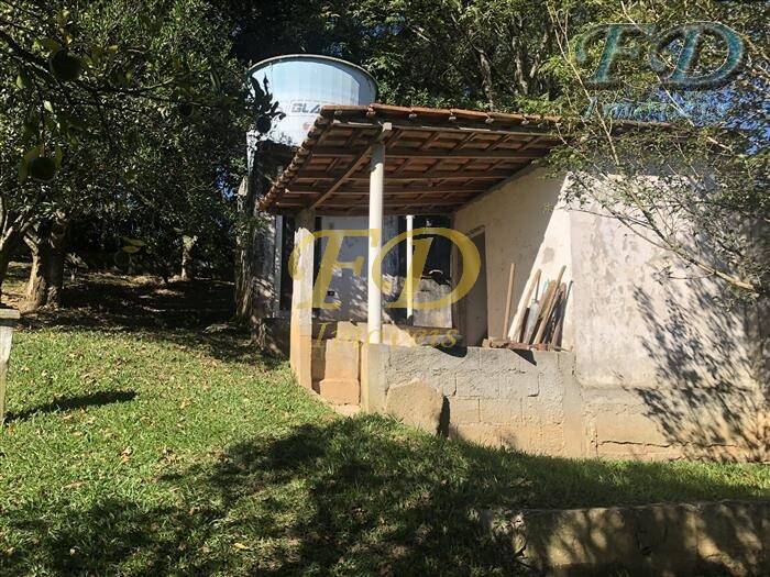 Fazenda à venda com 3 quartos, 200m² - Foto 34