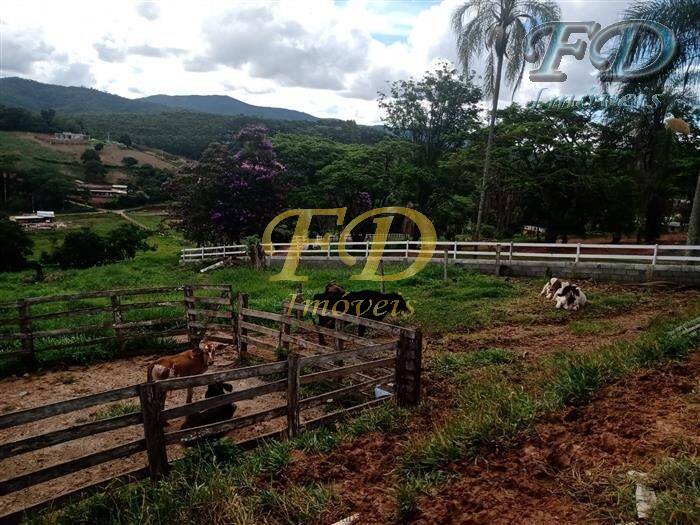 Fazenda à venda com 5 quartos, 1000m² - Foto 8