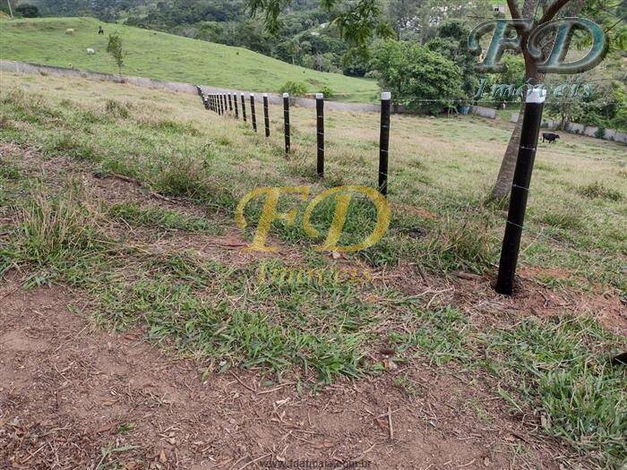 Fazenda à venda com 5 quartos, 1000m² - Foto 15