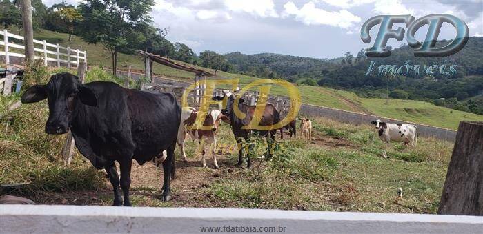 Fazenda à venda com 5 quartos, 1000m² - Foto 19