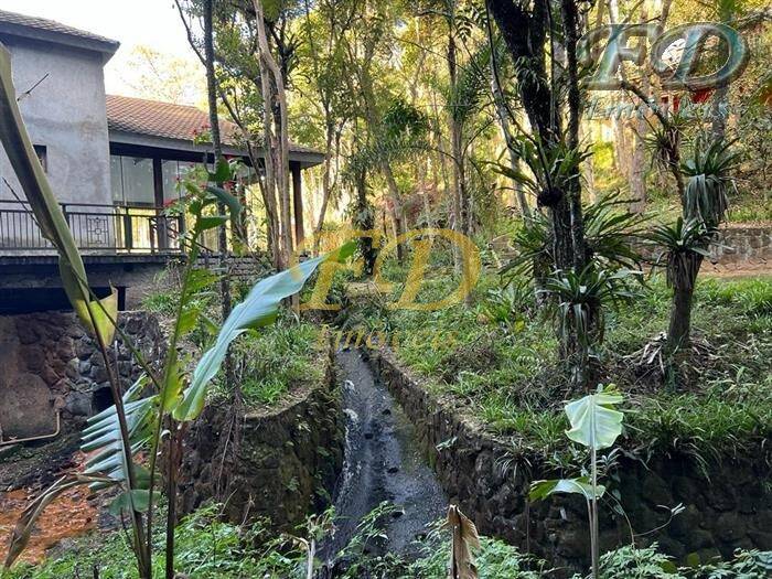 Fazenda à venda com 5 quartos, 600m² - Foto 13