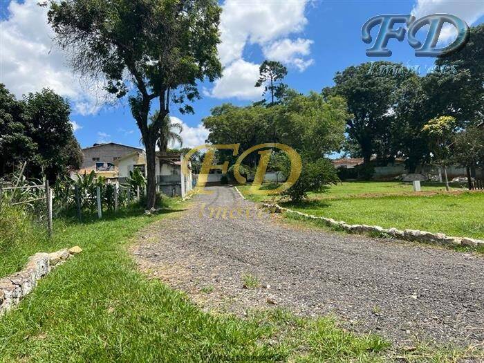 Fazenda à venda com 15 quartos, 1000m² - Foto 53