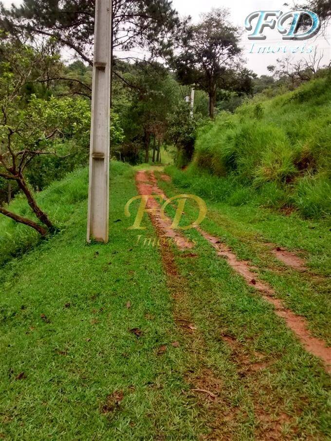 Fazenda à venda com 2 quartos, 120m² - Foto 5