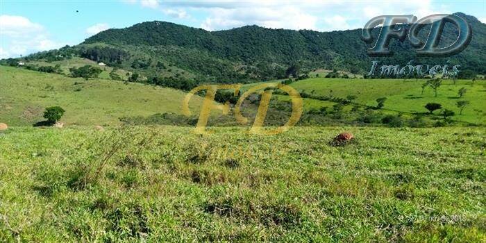 Terreno à venda, 139000m² - Foto 8