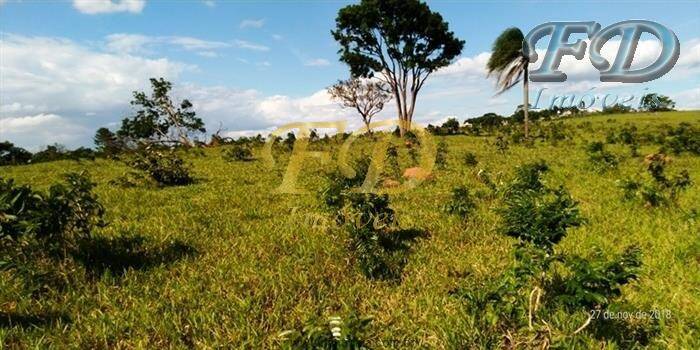 Terreno à venda, 139000m² - Foto 39