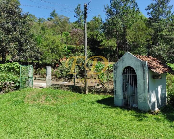 Fazenda à venda com 3 quartos, 800m² - Foto 11