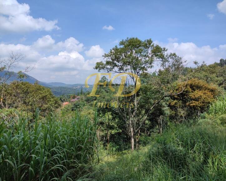 Fazenda à venda com 3 quartos, 400m² - Foto 5