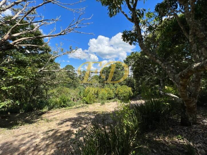 Fazenda à venda com 4 quartos, 640m² - Foto 39