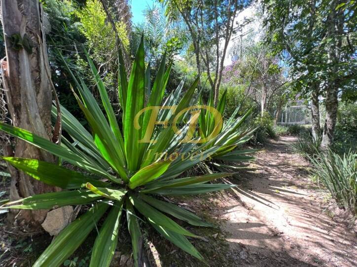 Fazenda à venda com 4 quartos, 640m² - Foto 41