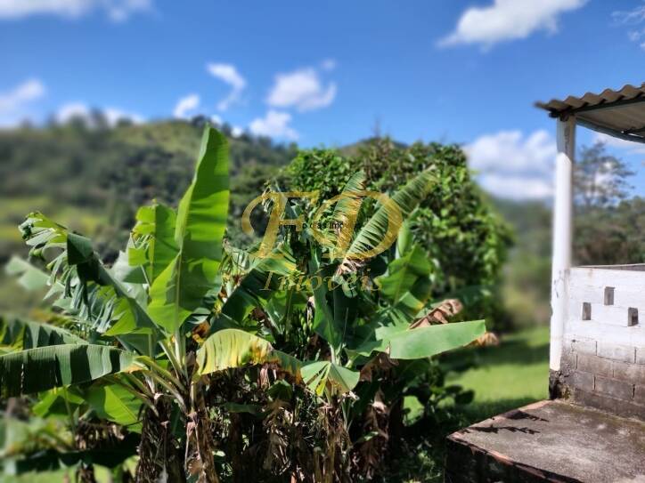 Fazenda à venda com 2 quartos, 1600m² - Foto 11